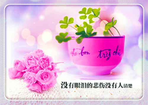 闪耀暖暖最有气质的女孩名字