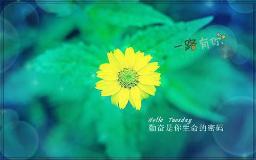 取个游戏名字英文情侣名字