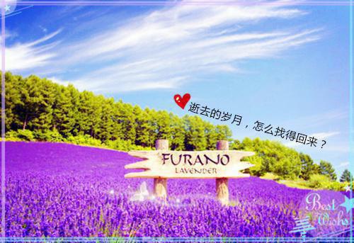 最强蜗牛好听的游戏玩家名字