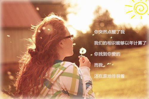 宫心计：我在古代当影后(完整版)全文免费阅读裴照月裴照锦小说