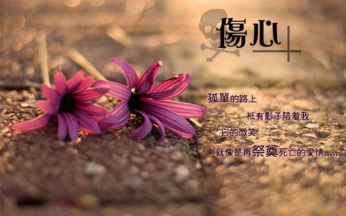 大话西游女孩名字大全