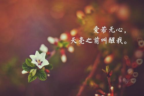 天龙八部名字大全2个字的情侣名字