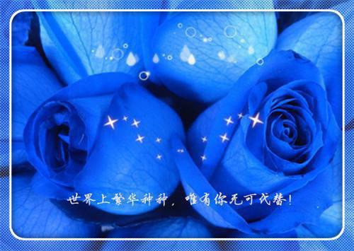 非人学院女孩英文名字