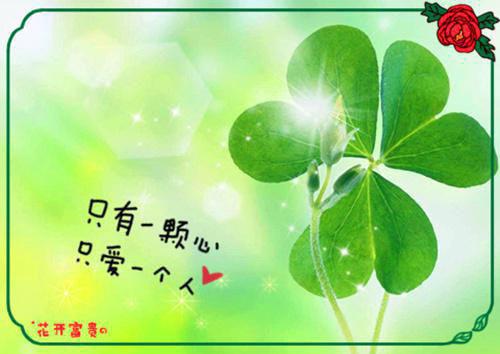 qq飞车个性游戏英文名字