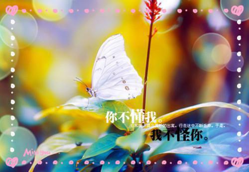 联盟名字英文情侣名字大全
