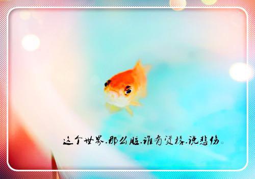 宠物可爱名字游戏名字情侣
