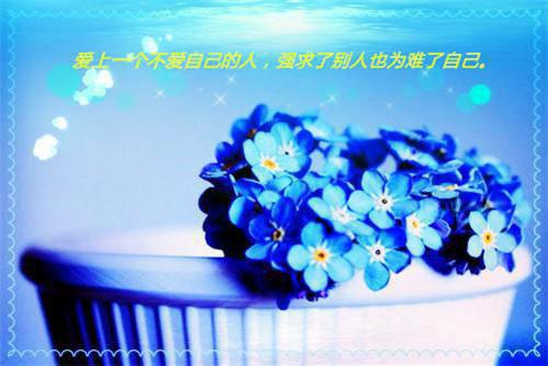 可爱宠物名字情侣网名字