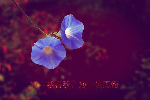 牧师名字浪漫情侣名字