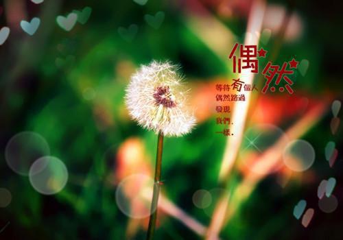 闪耀暖暖大气的游戏名字