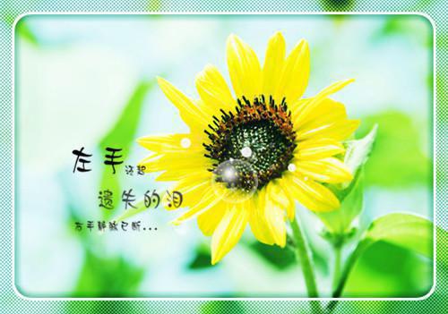 崩坏三游戏名字大全霸气的
