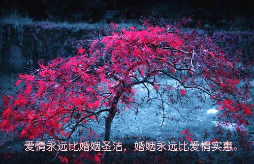 崩坏3霸气的游戏名字