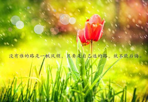 cf最拽的游戏名字