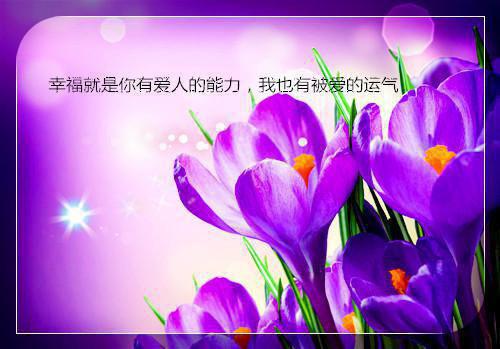 炫酷名字搞笑情侣名字
