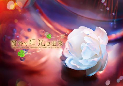 三国杀名字大全情侣房间名字