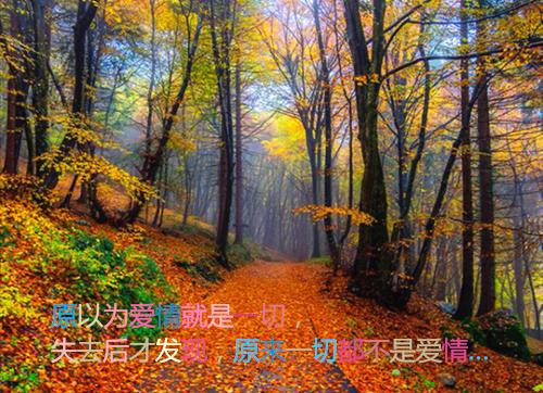 炉石传说最霸气的名字大全