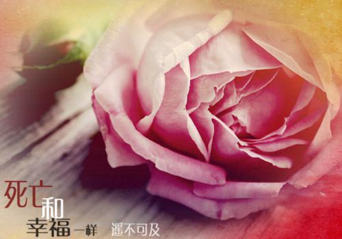 网吧模拟器经典情侣名字大全