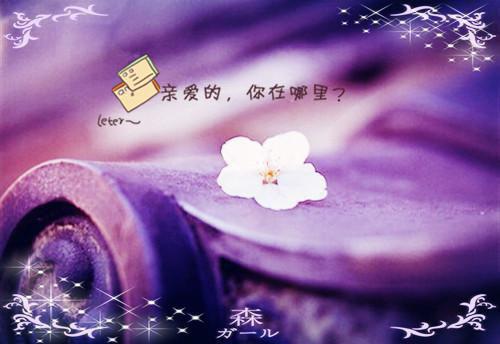 光遇男孩子名字大全