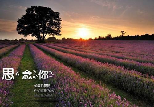 劲舞团个性名字情侣的名字