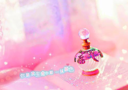 可爱宠物名字可爱的情侣名字