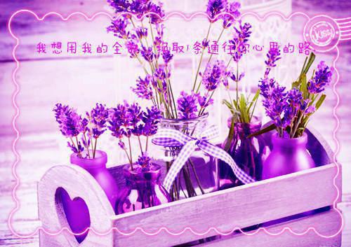 我的世界好听的美女名字