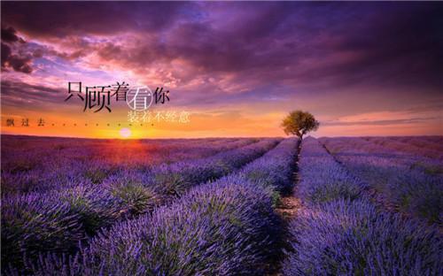 问道游戏名字游戏情侣英文名字