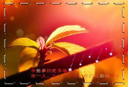 火影忍者游戏女主角名字