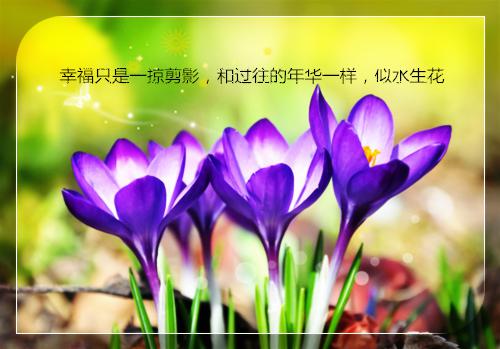 最强蜗牛游戏名字情侣大全