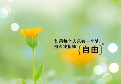 我的侠客浪漫的情侣名字大全