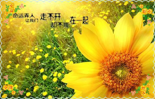 倩女幽魂游戏名字大全排行榜