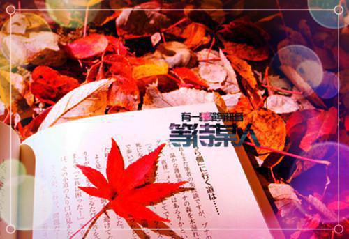 我的侠客女孩可爱名字