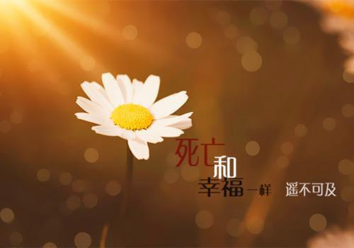 可爱英文名字情侣网名字