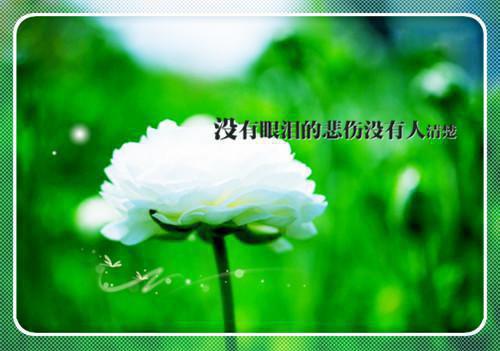 劲舞团名字大全非主流情侣名字大全