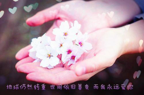 可爱英文名字情侣个性名字
