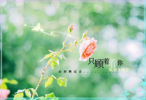 少年三国志霸气的网络游戏名字