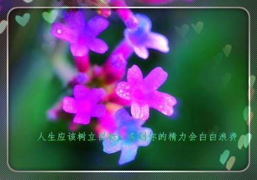 王者荣耀网游女名字