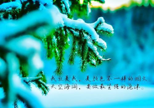 御龙在天名字情侣英文名字