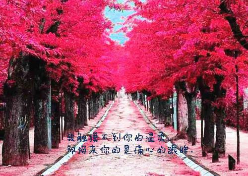 刺激战场好听的游戏人物名字