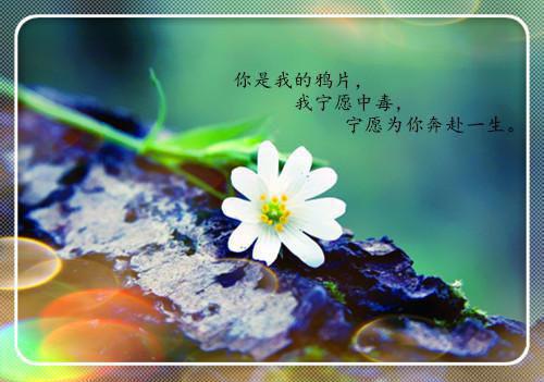 天龙八部帮派名字游戏情侣名字