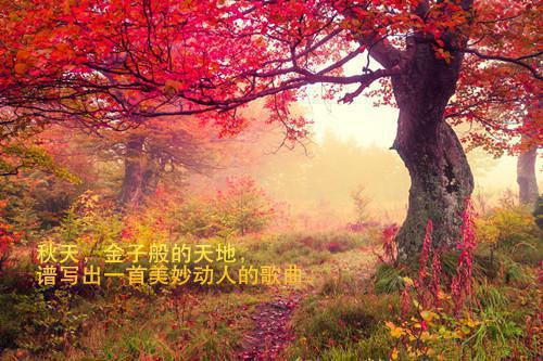 天龙八部家族名字情侣相册名字