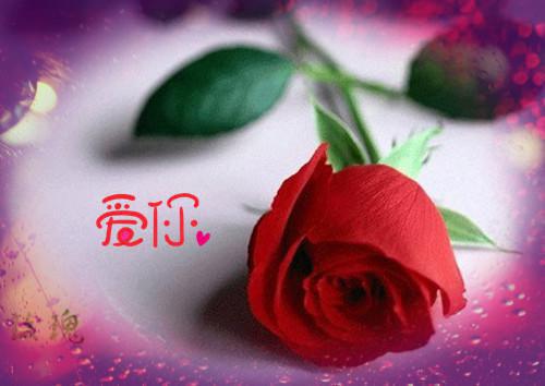 贴吧名字大全个性情侣名字
