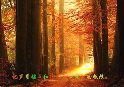 泡泡堂名字可爱的情侣名字
