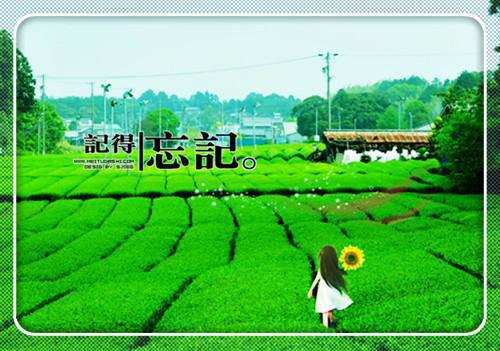 原神女孩英文名字
