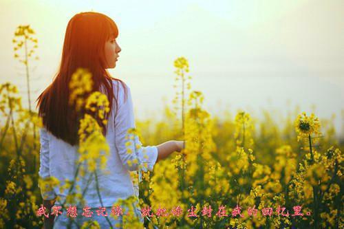 天涯明月刀英文女孩名字