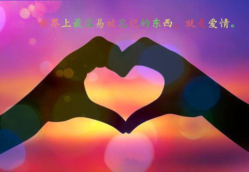 荒野乱斗男孩的名字