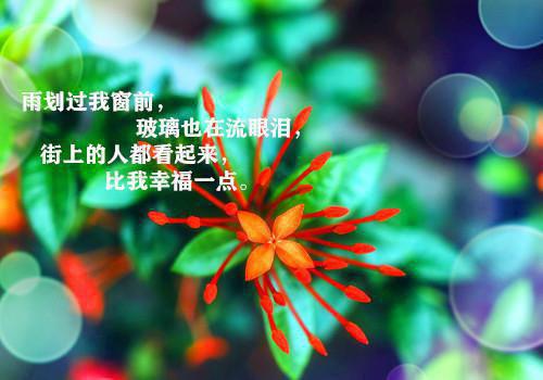 第五人格女人英文名字
