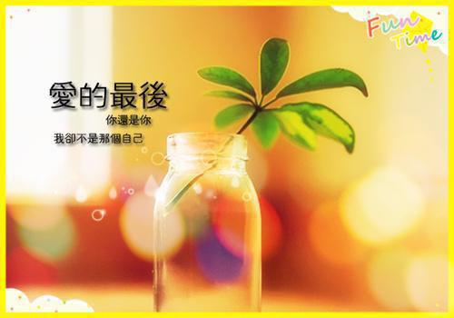 跑跑卡丁车好听的游戏人物名字
