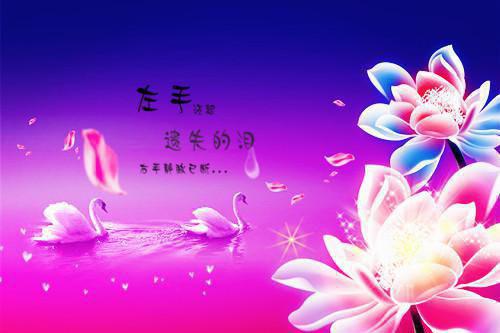 剑与远征女孩游戏名字