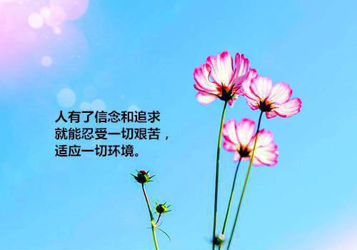 闪耀暖暖男的英文名字
