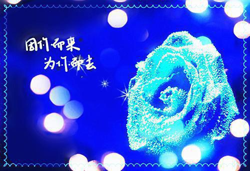 拳皇角色名字情侣个性名字