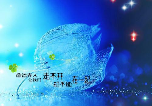 荒野乱斗好听的游戏角色名字